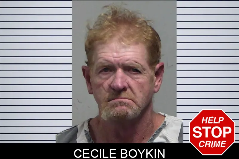 Cecile Boykin Mugshots