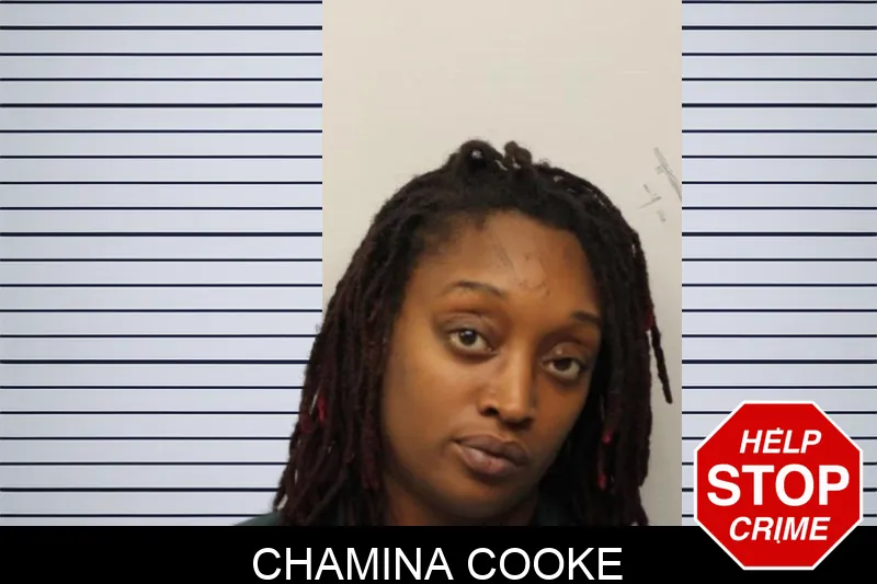 Chamina Cooke mugshot