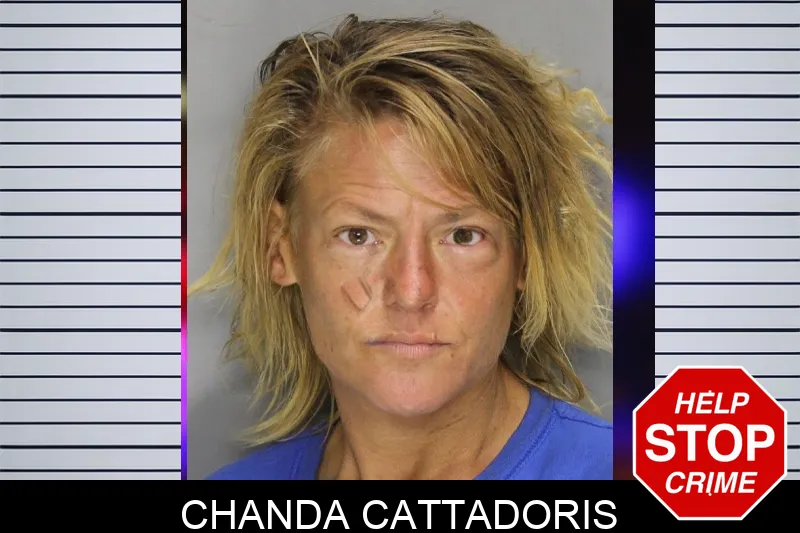 Chanda Cattadoris Mugshots