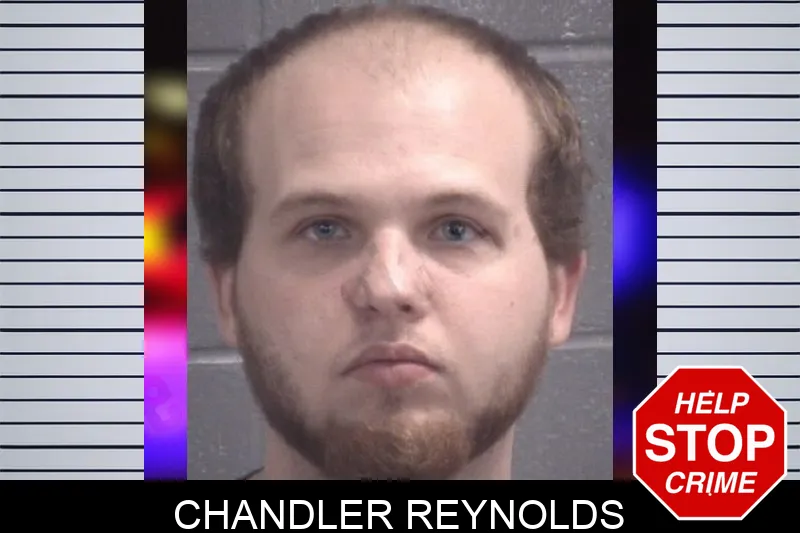 Chandler Reynolds mugshot