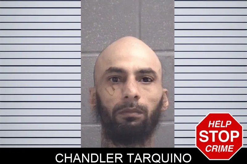 Chandler Tarquino Mugshots