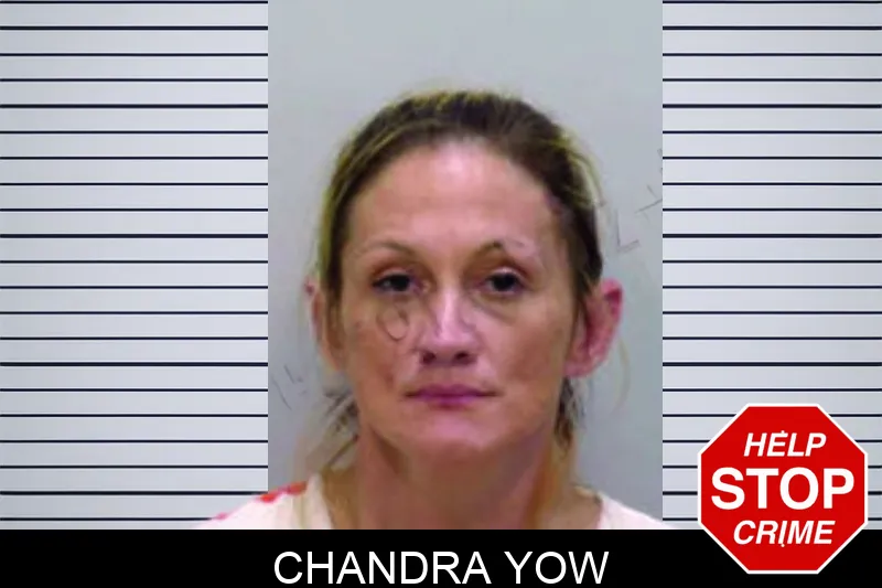Chandra Yow mugshot – Bartow County , Georgia Chandra Yow mugshot