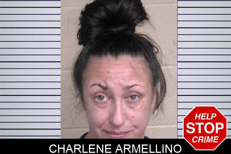 Charlene Armellino mugshot