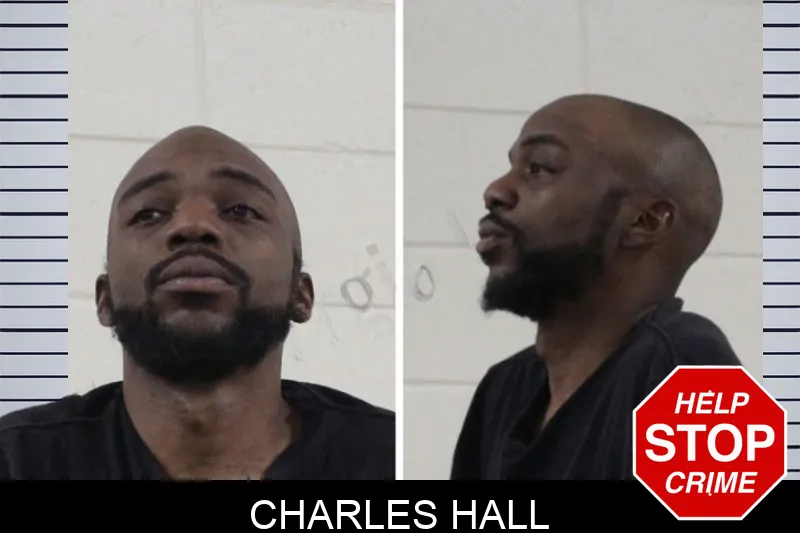 Charles Hall mugshot – Houston County , Georgia Charles Hall mugshot