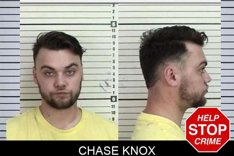 Chase Knox