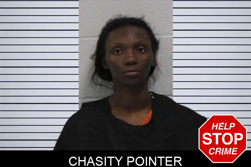 Chasity Pointer mugshot – Carroll County , Georgia Chasity Pointer mugshot