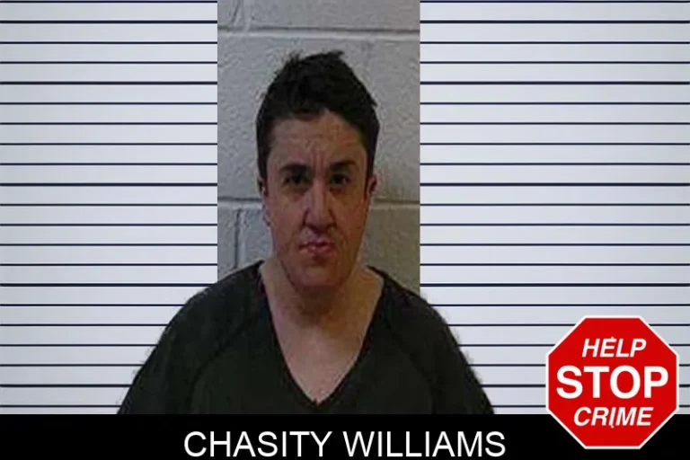 Chasity Williams mugshot – Polk County , Georgia Chasity Williams
