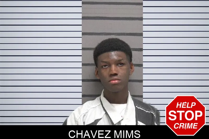 Chavez Mims mugshot