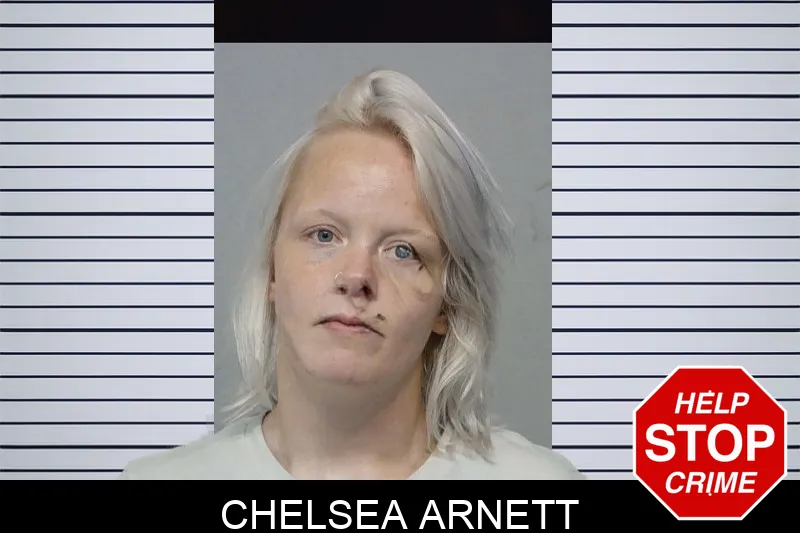 Chelsea Arnett mugshot
