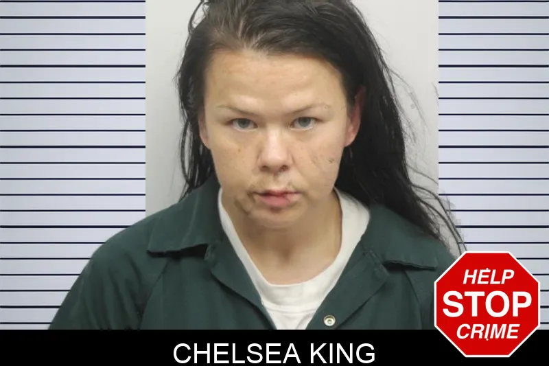 Chelsea King mugshot