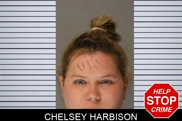 Chelsey Harbison mugshot – Hall County , Georgia Chelsey Harbison