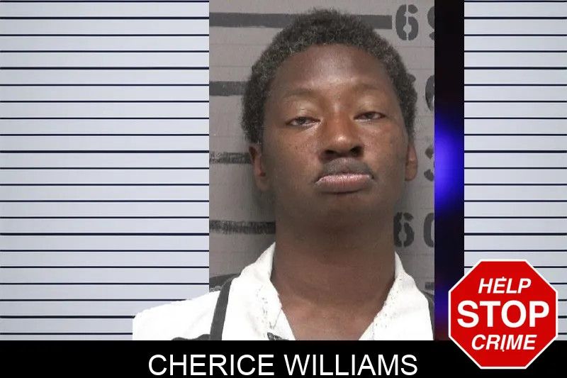 Cherice Williams mugshot