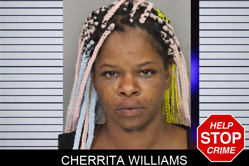 Cherrita Williams Mugshots