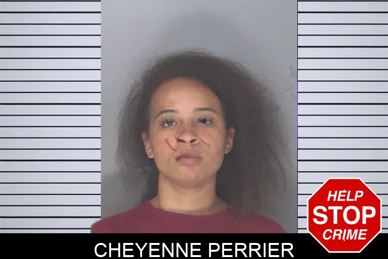 Cheyenne Perrier mugshot
