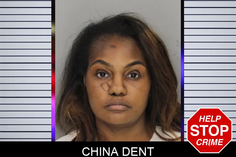 China Dent mugshot