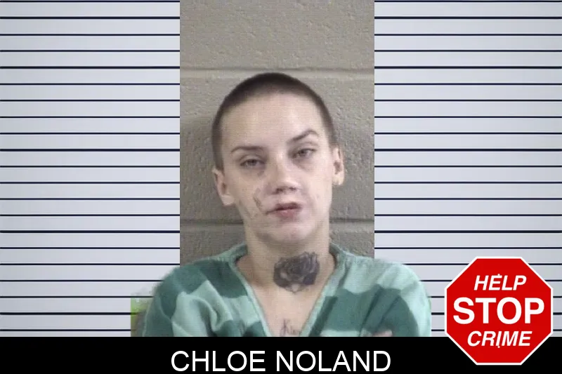 Chloe Noland mugshot