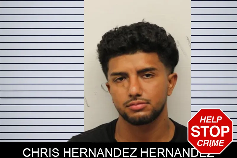 Chris Hernandez Hernandez Mugshots