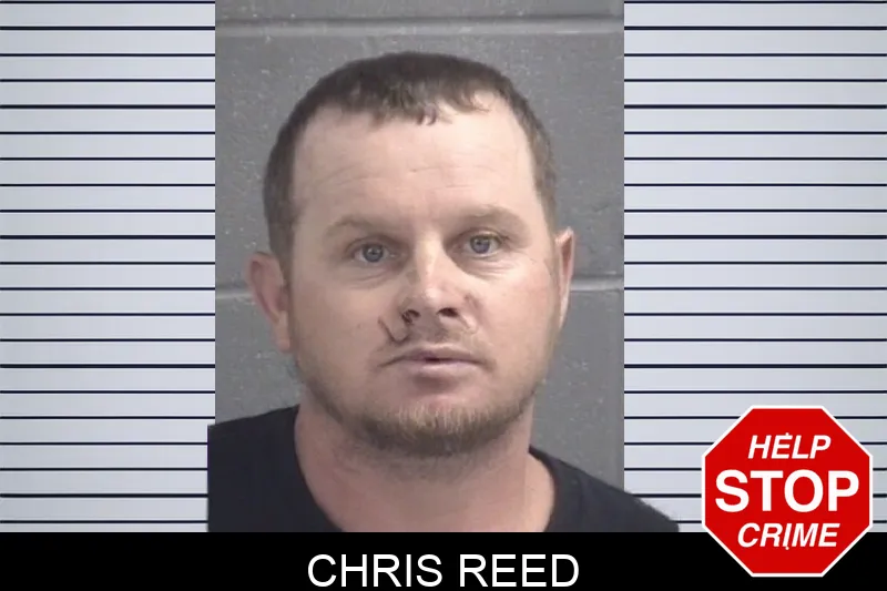 Chris Reed Mugshots
