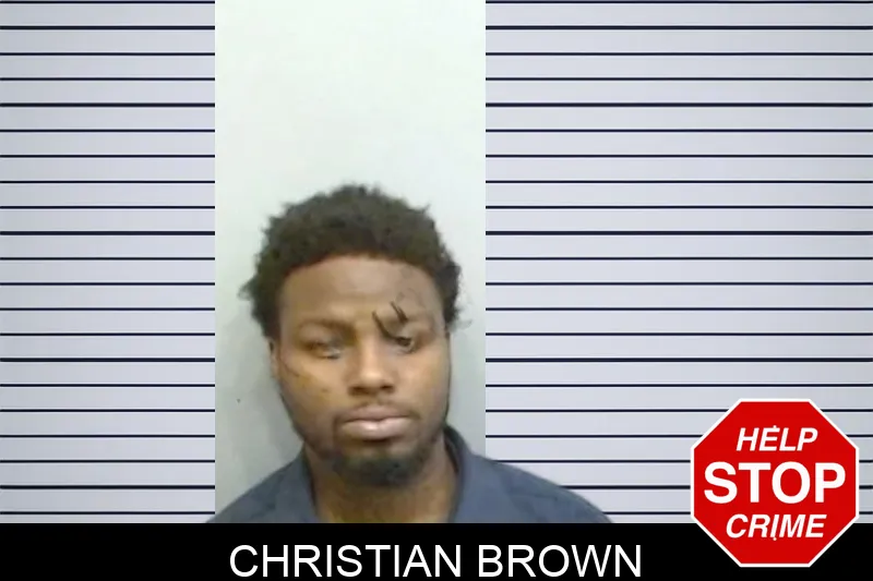 Christian Brown mugshot