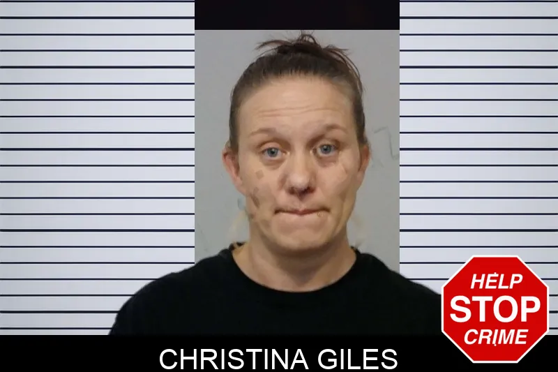 Christina Giles mugshot – Bibb County , Georgia Christina Giles mugshot