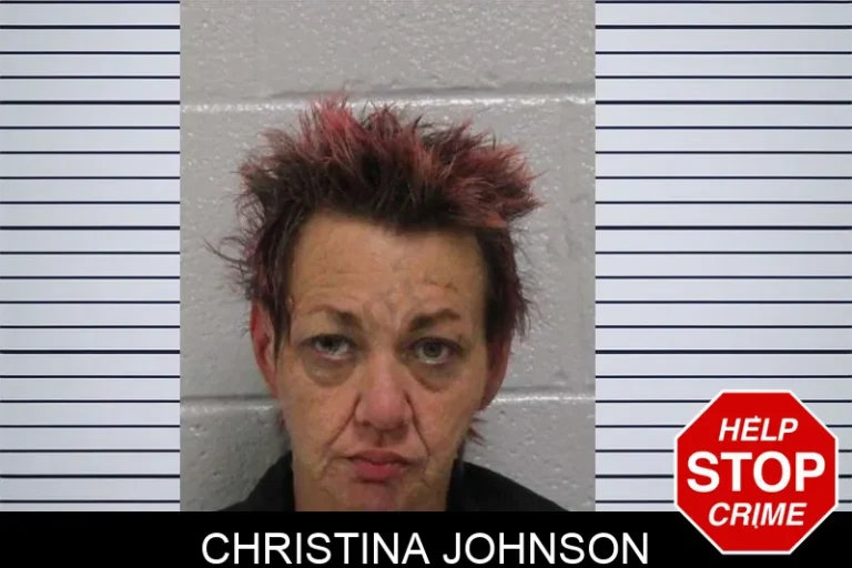 Christina Johnson mugshot – Carroll County , Georgia Christina Johnson