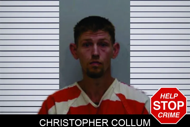 Christopher Collum mugshot – Bartow County , Georgia Christopher Collum mugshot
