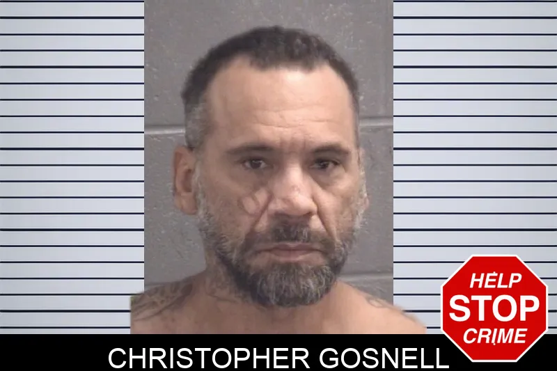 Christopher Gosnell mugshot