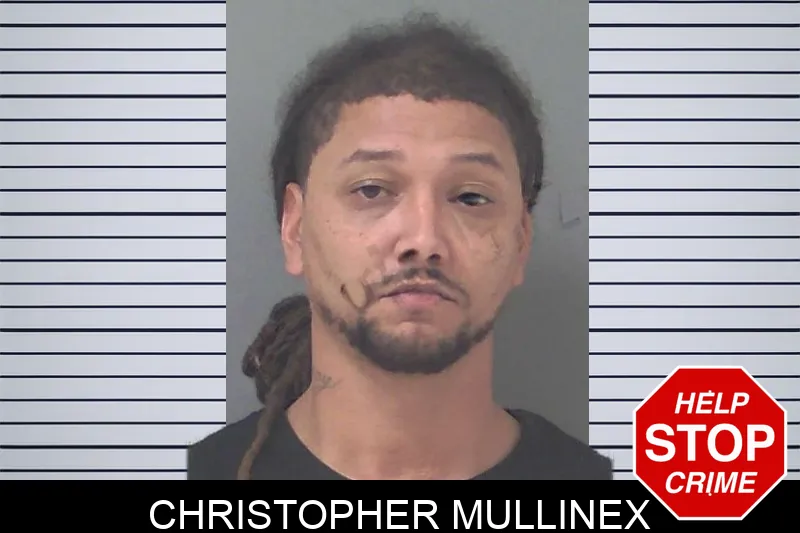 Christopher Mullinex Mugshots