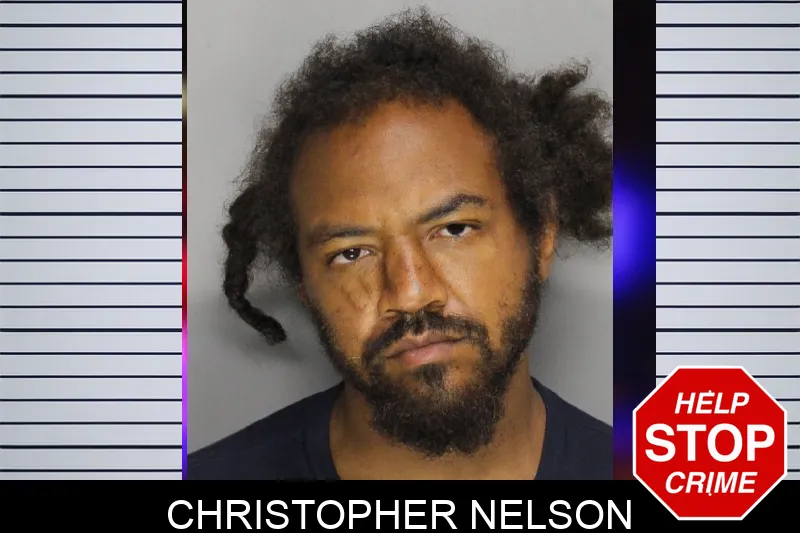 Christopher Nelson Mugshots