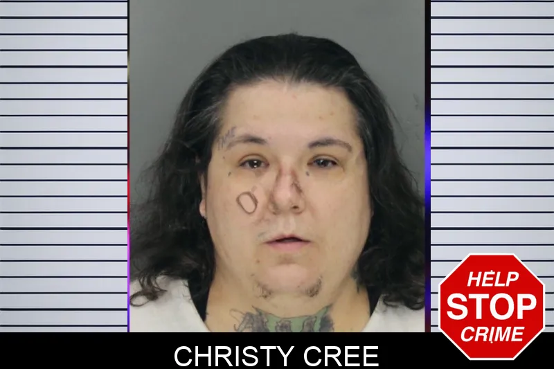 Christy Cree mugshot