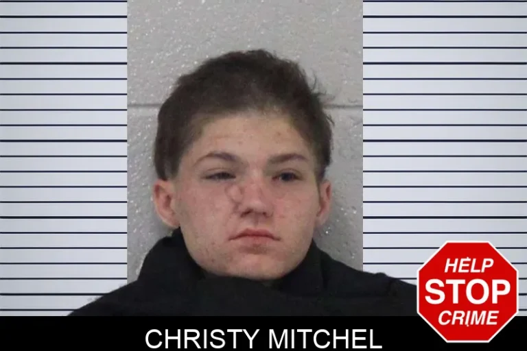 Christy Mitchel mugshot – Carroll County , Georgia Christy Mitchel