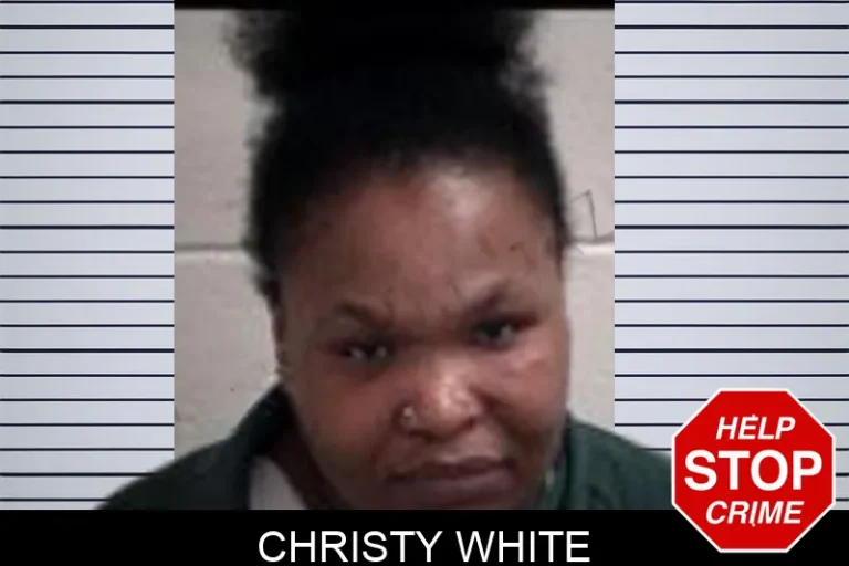 Christy White mugshot β Henry County , Georgia Christy White