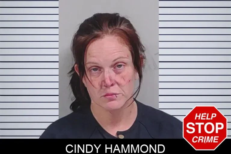 Cindy Hammond mugshot – Lowndes County , Georgia Cindy Hammond