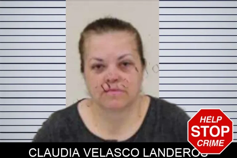 Claudia Velasco Landeros