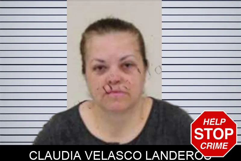 Claudia Velasco Landeros