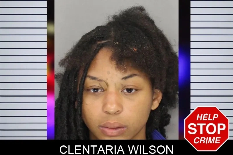 Clentaria Wilson mugshot – Cobb County , Georgia Clentaria Wilson mugshot