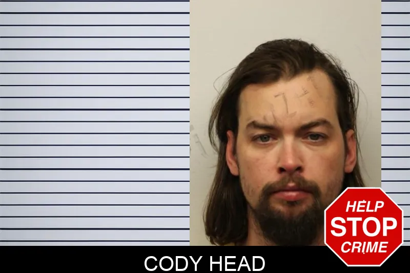 Cody Head mugshot – Chatham County , Georgia Cody Head mugshot