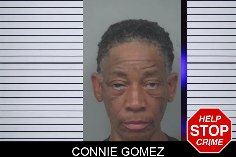 Connie Gomez Mugshots