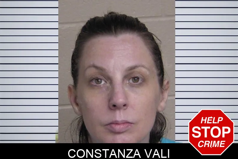Constanza Vali mugshot – Walker County , Georgia Constanza Vali mugshot