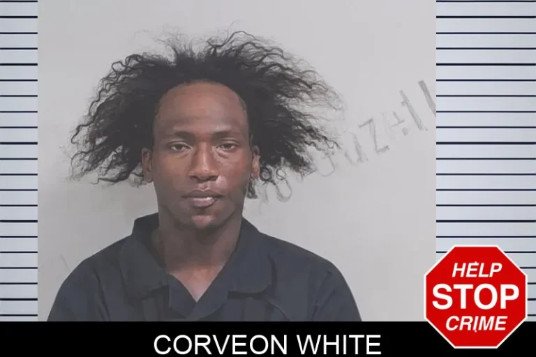 Corveon White