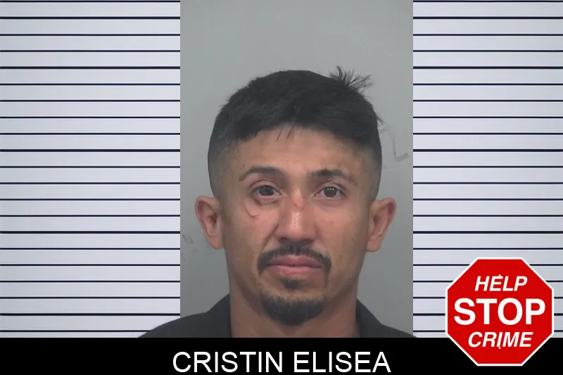 Cristin Elisea mugshot