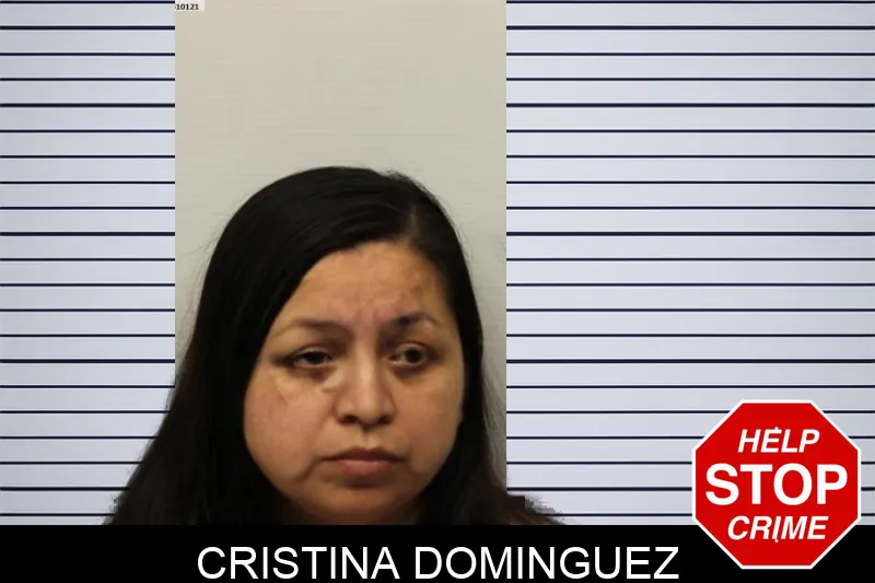 Cristina Dominguez mugshot – Chatham County , Georgia Cristina Dominguez mugshot