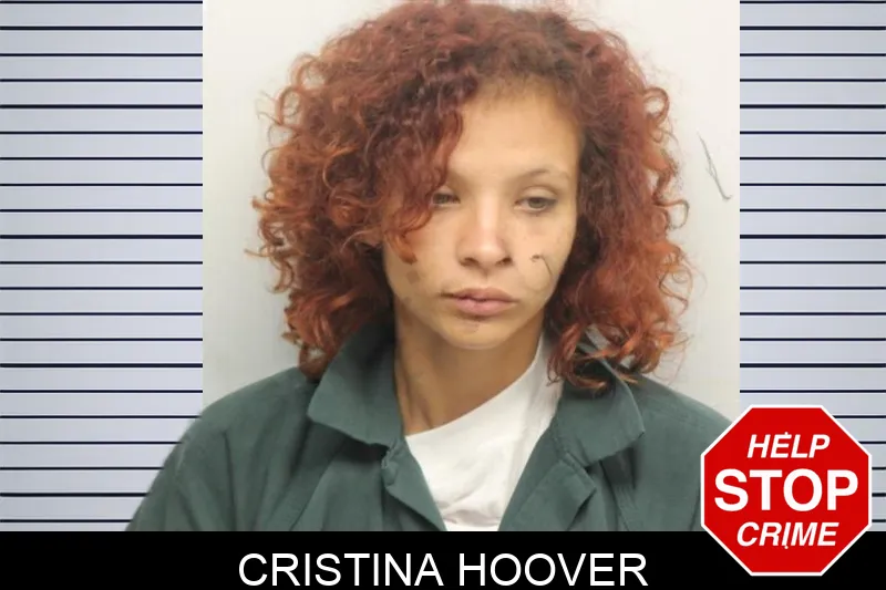 Cristina Hoover mugshot – Chatham County , Georgia Cristina Hoover mugshot
