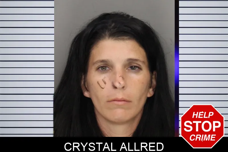 Crystal Allred Mugshots