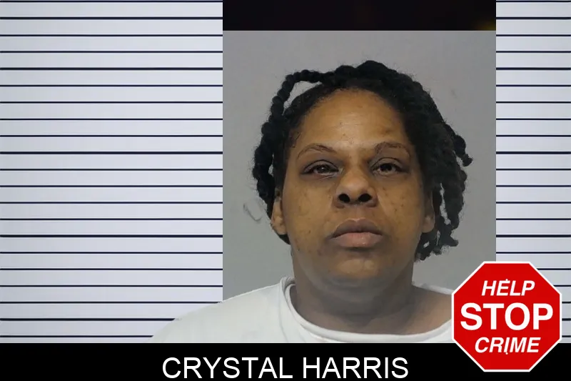 Crystal Harris Mugshots
