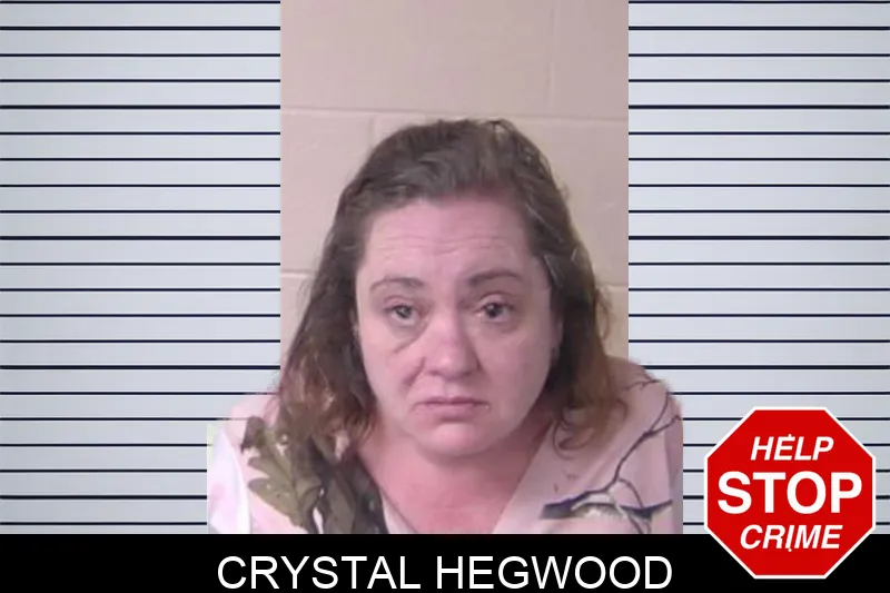 Crystal Hegwood mugshot