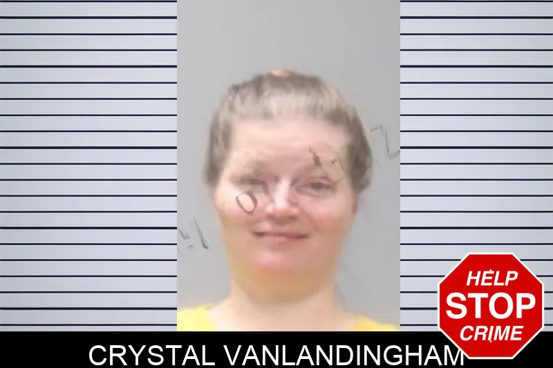 Crystal Vanlandingham mugshot – Muscogee County , Georgia Crystal Vanlandingham mugshot