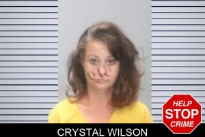 Crystal Wilson mugshot