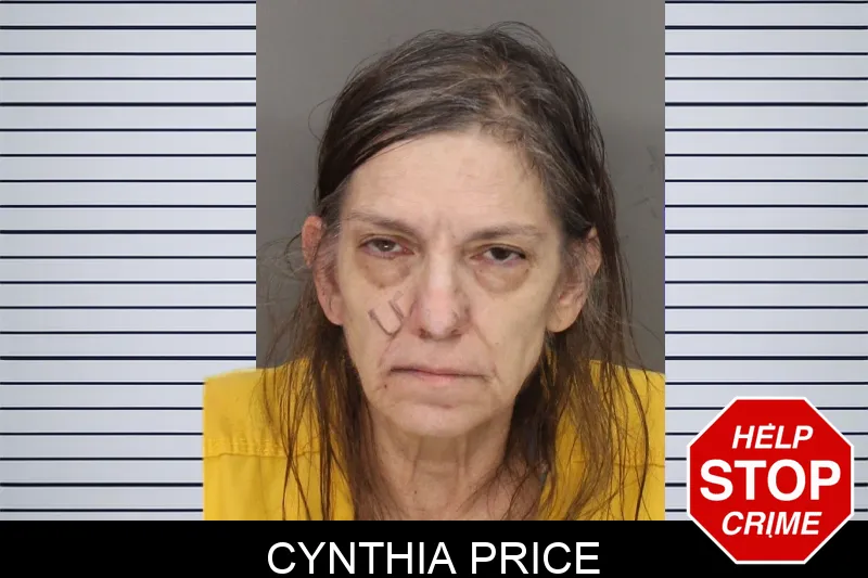 Cynthia Price Mugshots