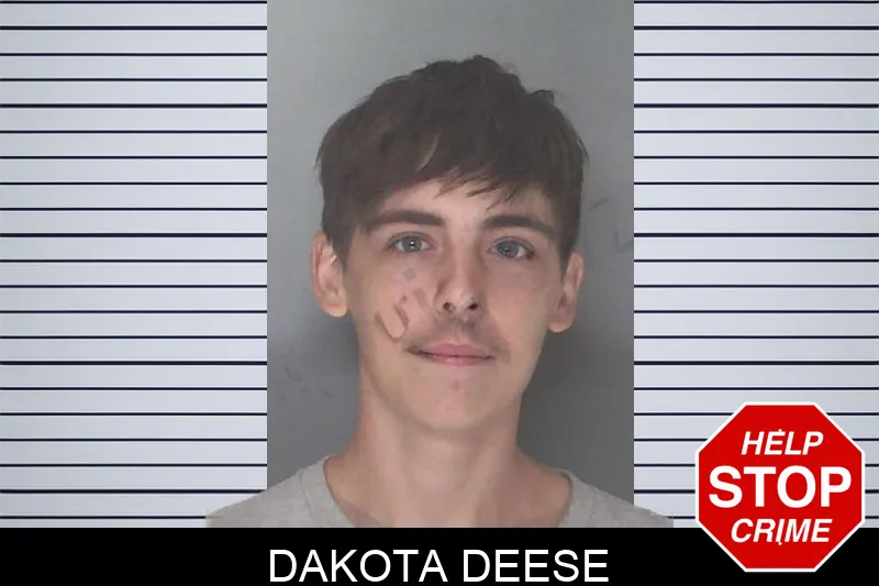 Dakota Deese mugshot – Douglas County , Georgia Dakota Deese mugshot